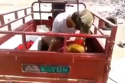 مقطع على تيلي توك